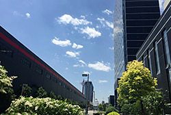 郑州总部厂区一角